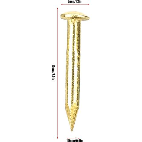 Lot de 100 Clous en Laiton, Clous de Rosace en Laiton, Clous de Rosace à Tête Ronde en Laiton pour Bois, Miroir de Cadre Photo Suspendu, Accessoires de Quincaillerie de Charnière (10 mm de long) (1/5)