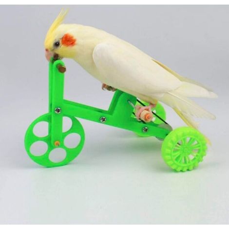 (L)Perroquet Jouet Formation Vélo Formation Oiseau Meubles (1/2)