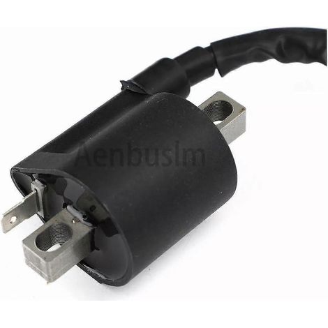 Ignition Coil + Spark Plug For Yamaha Raptor 660r Grizzly( )