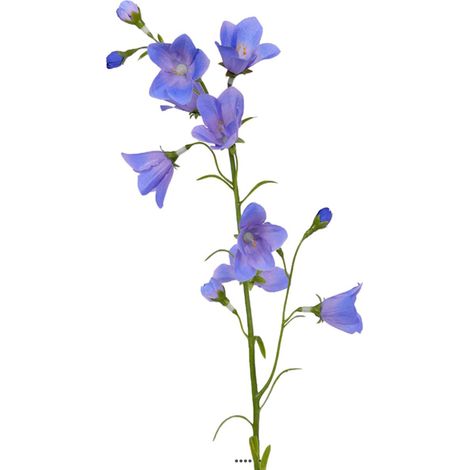 Campanule faux en tige Fleur des champs H65cm idéale bouquet Bleu ciel - couleur: Bleu ciel