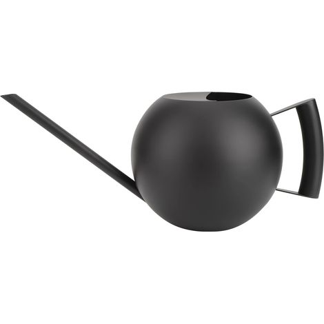 Arrosoir à long bec de 1000 ml en acier inoxydable, accessoire de jardinage (1/5)