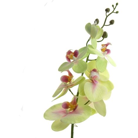 GASPER Phalaenopsis - Schmetterlingsorchidee Grün - Rosa 86 cm - Kunstblumen