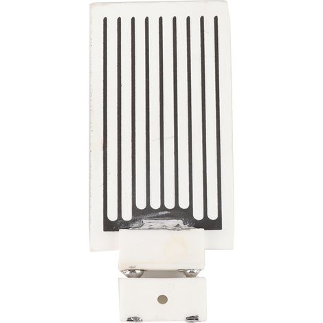 Générateur d'ozone portable 3.5g - Purificateur d'air à plaque céramique pour stérilisation (1/5)