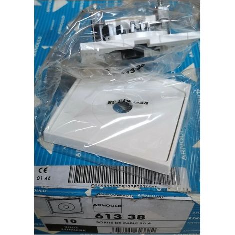 Arnould 61338 Cable outlet 20A complete white - 2001 LUMIERE