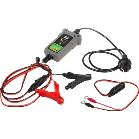 Chargeur GYS 029675GYS (1/2)