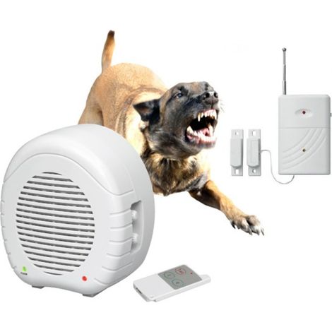 Indexa Set EW01 + MA80KM Elektronischer Wachhund mit Fernbedienung (1/5)