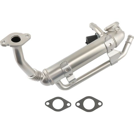 Enfriador de gases de escape válvula EGR for Seat Altea Cordoba Ibiza TDI (1/5)