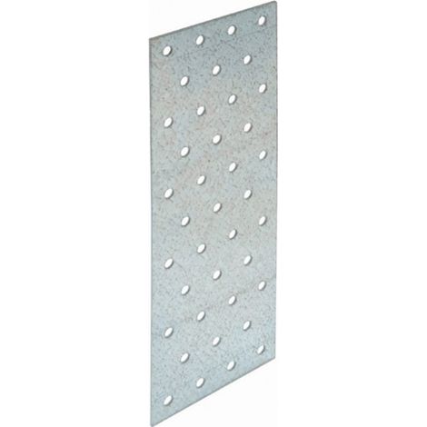 50 Plaque Perforee Np 80 X 220 X1,5 (1/3)