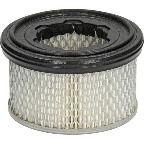 Filtro de aire 15LD400/440 LOMBARDINI 2175306 (1/2)