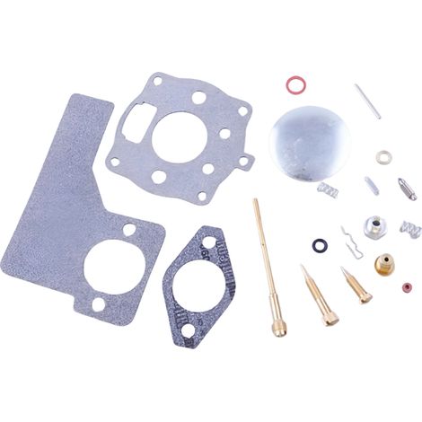 Kit de réparation de carburateur pour moteurs Briggs & Stratton 10, 11 et 16 CV, références 243431 et 243432.