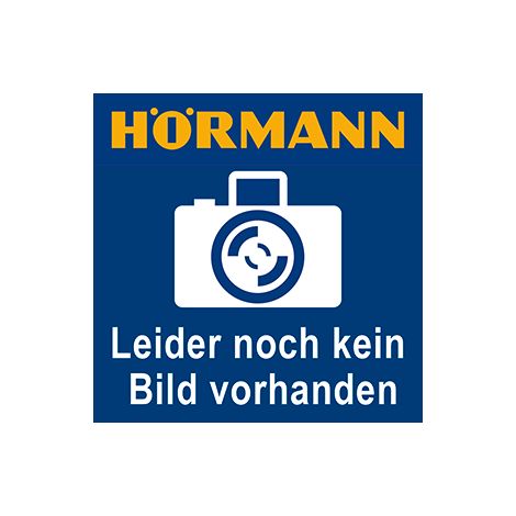 Hörmann LAN-Adapter für homee Brain System geeignet, Zubehör für Smart Home (1/2)