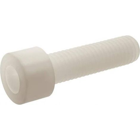 200 Vis Tête Cylindrique Six Pans Creux 5 x 16 mm - TYPE DIN 912 - Nylon 6.6 - D-Work