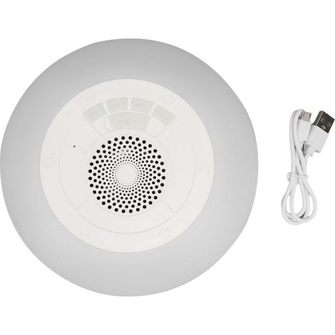 Enceinte Bluetooth Flottante IPX7 pour Piscine et Spa avec Micro Intégré et Lumières RGB (1/5)