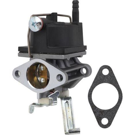 Carburateur Tecumseh OV691EA/TVT691 - Haute efficacité - Réf. 640221/5156/632745 (1/5)