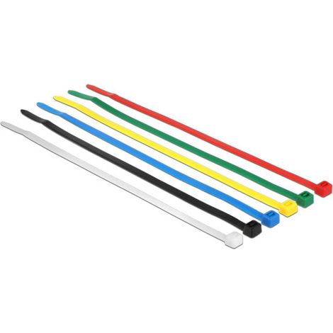 Delock 18626 Assortiment de serre-câbles noir, bleu, vert, rouge, transparent, jaune 100 pc(s)