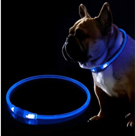 Collare per cani a LED ricaricabile tramite USB - Collare lampeggiante per la sicurezza notturna - Regolabile, impermeabile e luminoso - Ta160 (1/4)