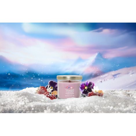 Candela Yankee Candle Summit Stargazing 122g