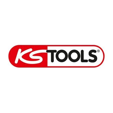 KS TOOLS 911.7560 EMBOUT DE VISSAGE 6 PANS 2,5 MM ENTRAÎNEMENT 6,35 MM LONGUEUR 75 MM 4042146054802