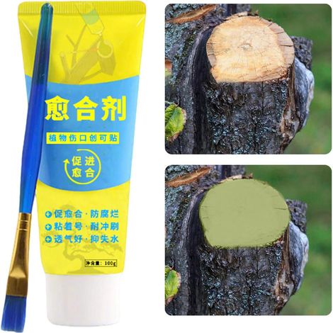 1 Pièces Baume Cicatrisant Arbre avec Brosse – Mastic Greffe Arbre pour Réparation des Blessures de Taille, Protection des Bonsaïs et Arbustes (Vert) (1/5)