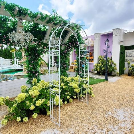 White Wedding Arch 242 x 114 x 35.5 cm for Garden - Elegant Curved Metal Arch for Climbing Plants, Roses, Vines, Lawn, Garden, Patio, Outdoor Ceremony (1/5)