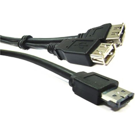 BeMatik - ESATAP câble USB ou eSATA + (M/eSATA + USB-AH-H) 1m (1/3)