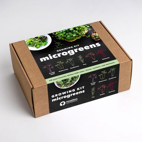 MICROGREENS PIANTE DA INTERNO (1/3)