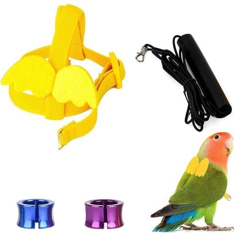 Adjustable Bird Harness and Leash, 2m Nylon Rope, Elastic Strap, for Cockatiel (1/5)
