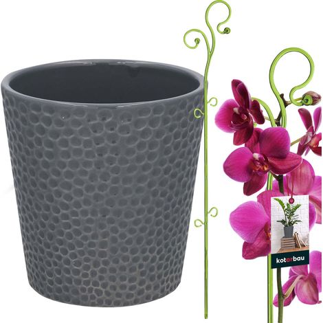 KOTARBAU® Set bestehend aus einem 11 cm großen Aschetopf und einer 58 cm langen grünen Blumenstütze, Keramik-Blumentopf, Kunststoff-Pflanzenstütze, Orchideen-Set