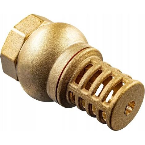 Fußventil 1″ Messing mit Sieb und Rückschlagventil – Saugfilter für Pumpensysteme (1/5)
