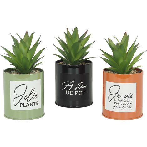 Succulentes artificielles dans pots colorés 17 cm (Lot de 3)