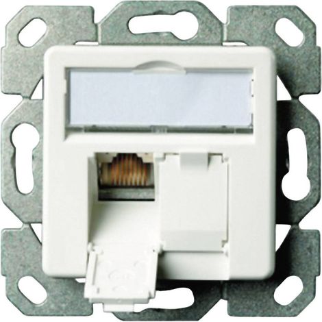 TELEGÄRTNER AMJ45 PRISE UP CATÉGORIE 6 CL.E DOUBLE 2 X RJ45 BLANC (1/2)