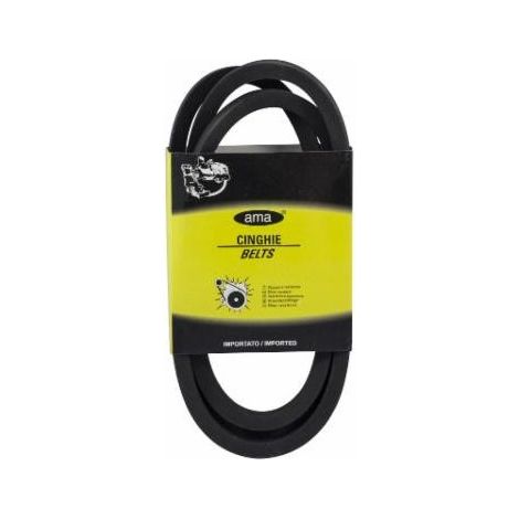 Courroie trapézoïdale lisse A31 - 13X8X787 MM (1/2)