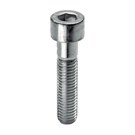 Vis de protection TCEI 8.8 20 pcs galvanise' pour protecteur de se'curite' monolithique M6 x 80 mm