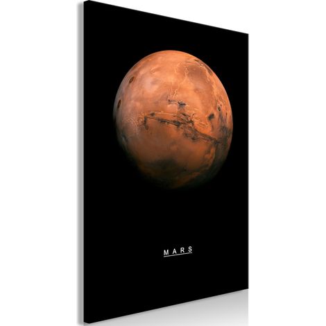 Quadro - Mars (1 Part) Vertical - 60x90 (1/4)