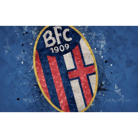 Papier peint panoramique Foot / Football - BFC 1909 - 130 cm x 81 cm (1/2)