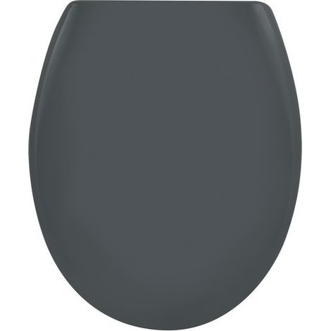 Abattant wc EASY CLIP Thermo Dur Gris - Charnières Inox Spirella