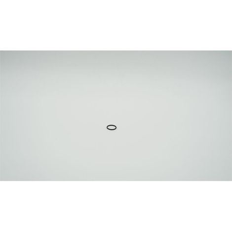 BWT O-Ring EP70 für Bewades, 22x2,5mm, 1-181523
