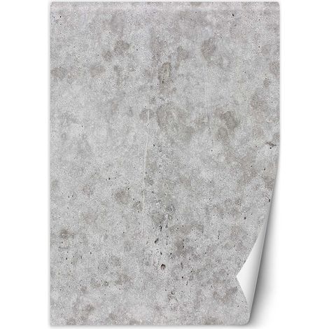 Papier peint Texture Béton Imitation Loft 200x280 (1/5)