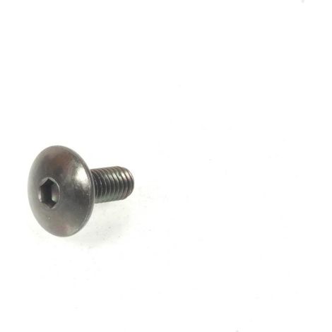 BTR-Schraube M6 x 100, Gewinde 14 mm, für Peugeot 50 XP6 SM, (1/5)