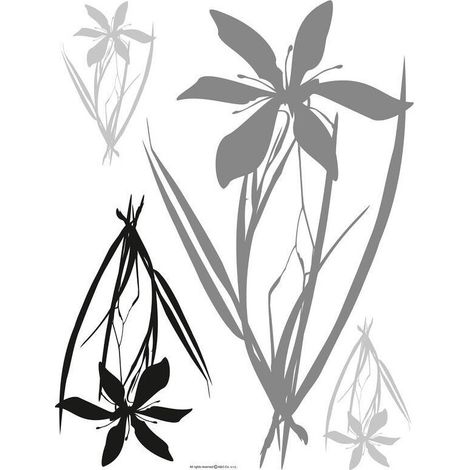 Sticker mural - Fleurs Grises et Noirs - 65 x 85 cm (1/4)