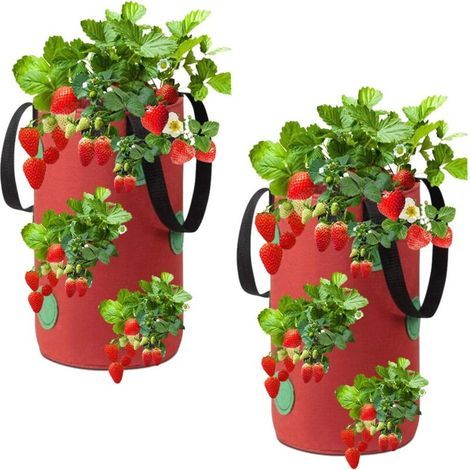 (20 x 35 cm)(rouge)Lot de 2 sacs de culture pour fraises à suspendre en tissu non tissé avec 12 trous, sacs de culture pour fraises, herbes, fleurs (1/5)