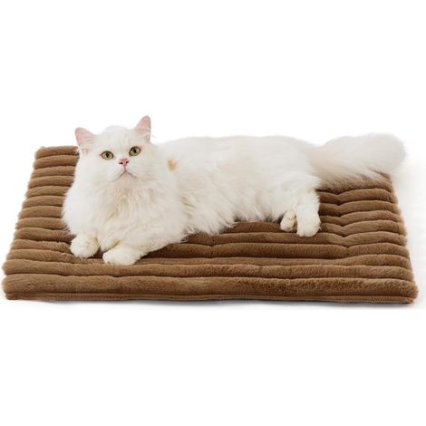 auto chauffant pour chat Tapis d hiver thermique pour (1/5)