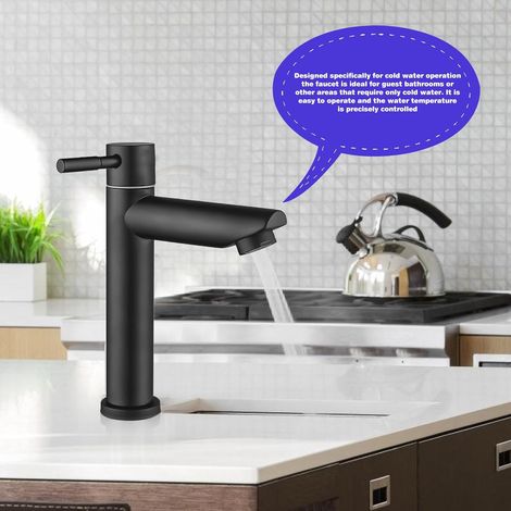 Robinet Salle de Bain en Acier Noir - Mitigeur Monocommande Eau Froide pour WC et Invités (1/2)