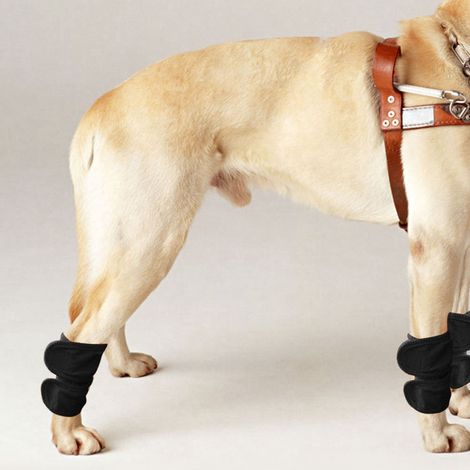 Lot de 2 orthèses pour pattes de chien/chat, protection coudes, genouillères chaudes, guêtres de protection pour plaies chirurgicales, noir, taille M (1/5)