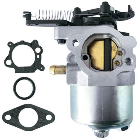 Compatible carburetor 792038 750 591852 793493 793463 for motorcycles and scooters--DTEKGAZ (1/4)
