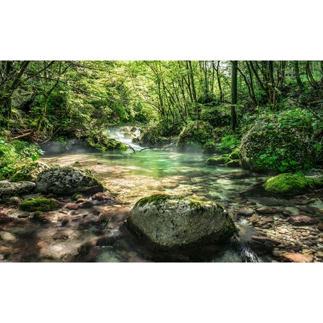 Papier peint panoramique naturel Piscine Tranquille (1/4)