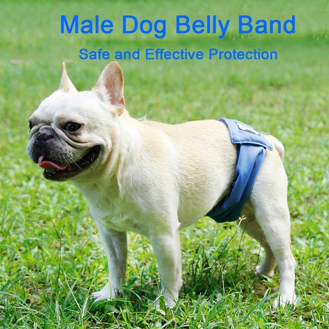 Bande de ventre lavable pour chien mâle, 3 pièces, couche imperméable pour animaux de compagnie, pantalon physiologique d'entraînement aux toilettes (1/5)