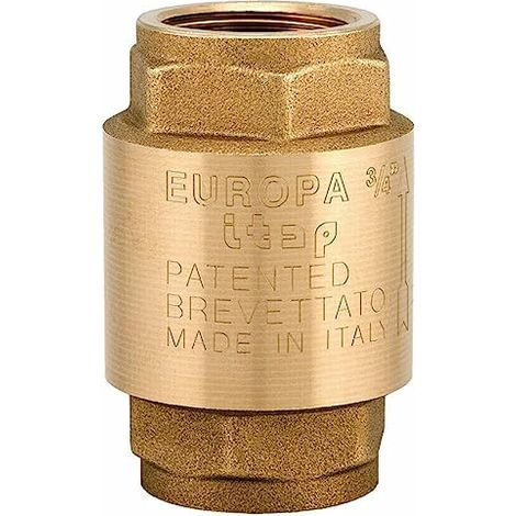 Schläfer 0930153 Valvola di Ritegno Unidirezionale Universale in Ottone, Filettatura Interna G 1" pollice Valvola Ritegno Acqua a Tenuta Stagna, Valvola di non ritorno. (1/5)