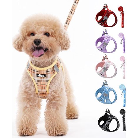 Ensemble Harnais-Laisse Chien réfléchissant réglable, Rose XXS (1/5)