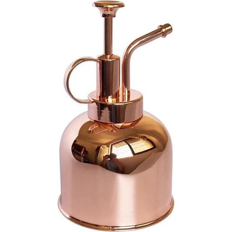 ALLIANDISPulvérisateur en Acier Inoxydable 0,3L pour Plantes d'Intérieur – Arrosage Précis et Moderne (1/4)
